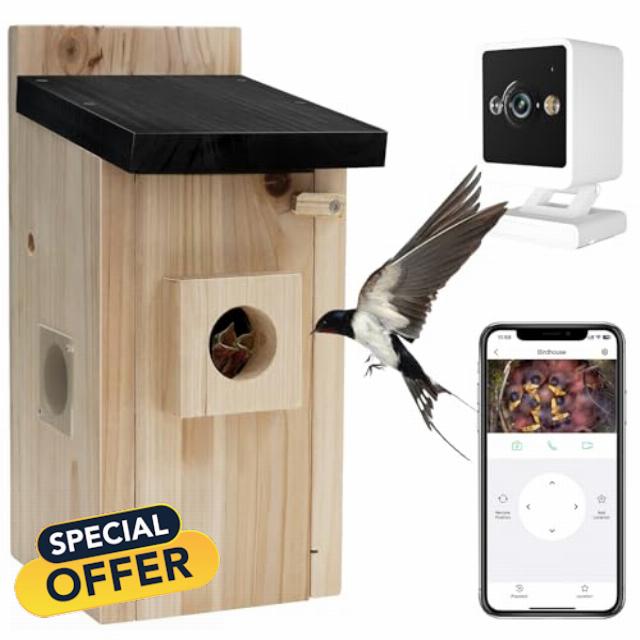 Smart Bird House with WiFi Camera