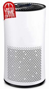 Air Purifier for Home Bedroom Office Desktop Pet Room Air Cleaner for Car with True HEPA Filters and Silence White plus