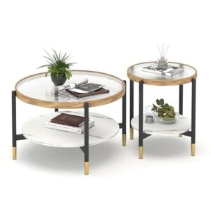 Wood Circle Glass Coffee Table with Storage Shelf & Metal Frame