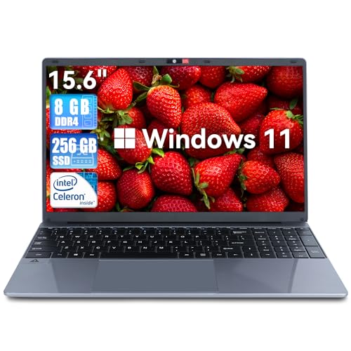 15.6 Inch Windows 11 Intel Celeron N5095 Quad-Core Processor up to 2.9Ghz Laptop Computer