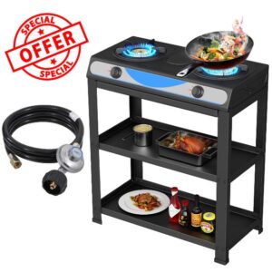 Propane Gas Stove
