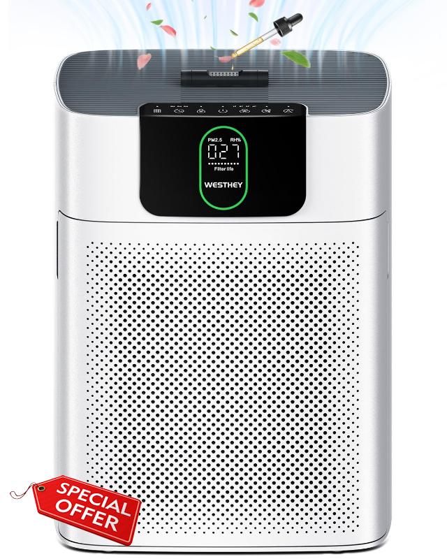 Air Purifiers for Home Large Room Up to 1820 ft² Double Sided Air Inlet H13 HEPA Air Purifiers Filter with PM2.5 Air Quality Monitoring Auto Fragrance Sponge