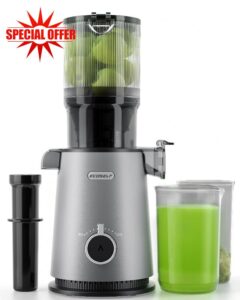 Whole Juicer