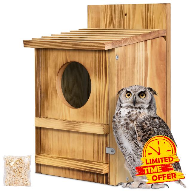 Screech Owl House