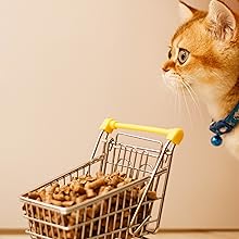 Non Clumping Wood Pellets Cat Litter