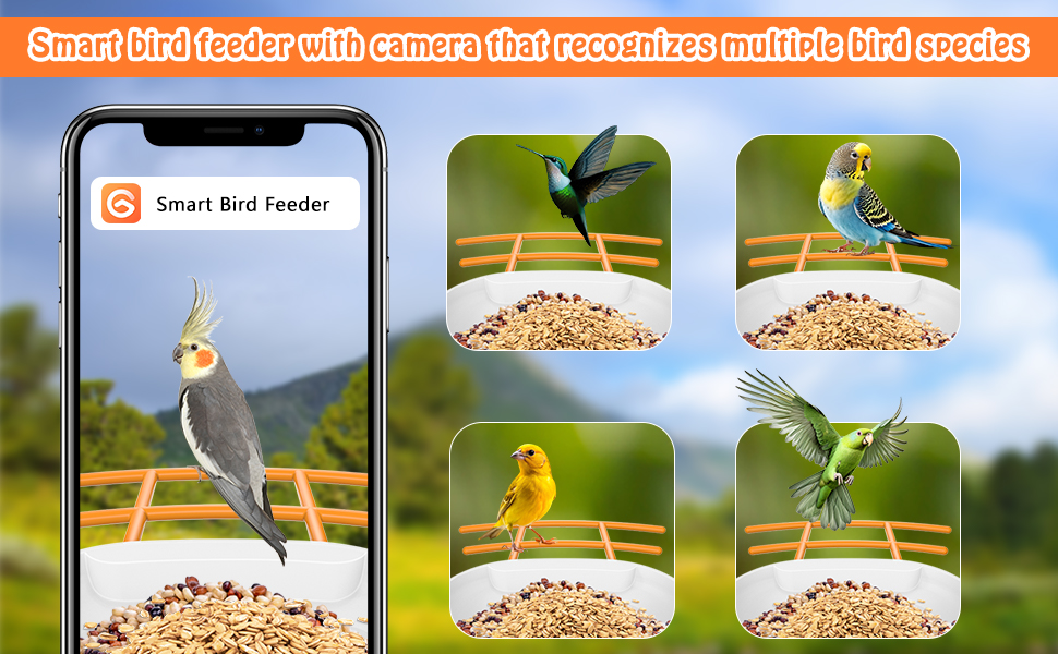 Yarmiene Bird Feeder with Camera
