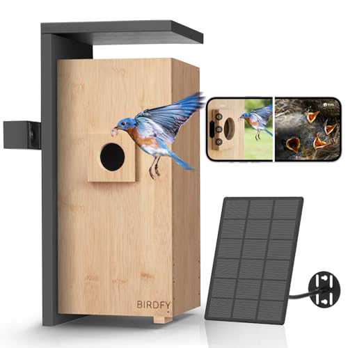 1080P Bird Nest Solar Powered