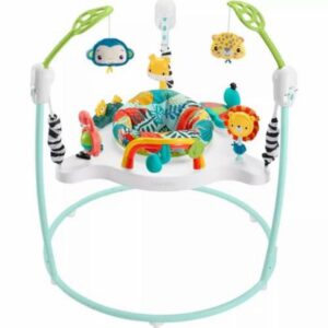 Fishers-Price Baby Activity Center with Spinning Seat