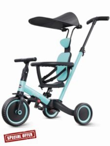 newyoo Push Tricycle with Canopy