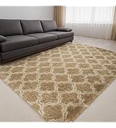 lekeplus Area Rugs Living Room Bedroom Soft Rug Modern Fluffy Super Soft Thick Pile Non-Linting R...
