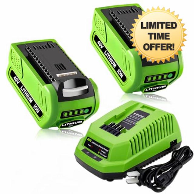 2PACK 40V 6.0Ah Replacement Battery and Charger Compatible with GreenWorks 40V Battery Compatible with GreenWorks Battery 29462 29252 20202 22262 25312 25322 20642 G-MAX Cordless Power Tools