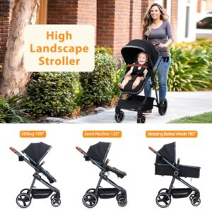 Toddler High Landscape Stroller with Reversible Stroller Seat