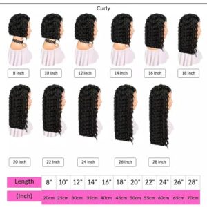 180% Density Brazilian Virgin Wet and Wavy Wigs for Women Curly Wig with Baby Hair Natural Color 20 Inch