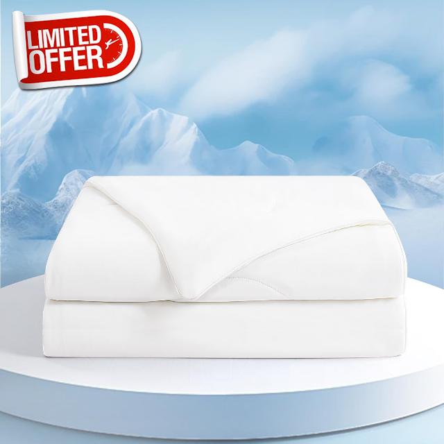 EASELAND Summer Cooling Comforter Queen Size