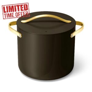 Caraway Stock Pot - 12 Qt Ceramic Coated Pot With Lid - Fee From Forever Chemicals - Large Pot for Bigger Batches - Black