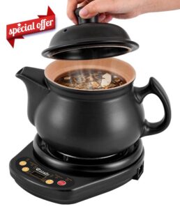 Consfly Chinese Medicine Cooking Pot 3.17qt Electric Herbal Medicine Cooker Ceramic Pot Unglazed Interior