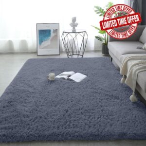 Soft Fluffy Area Rug for Living Room Bedroom