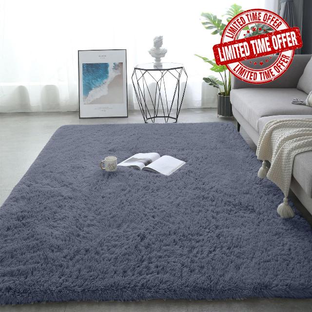 Soft Fluffy Area Rug for Living Room Bedroom
