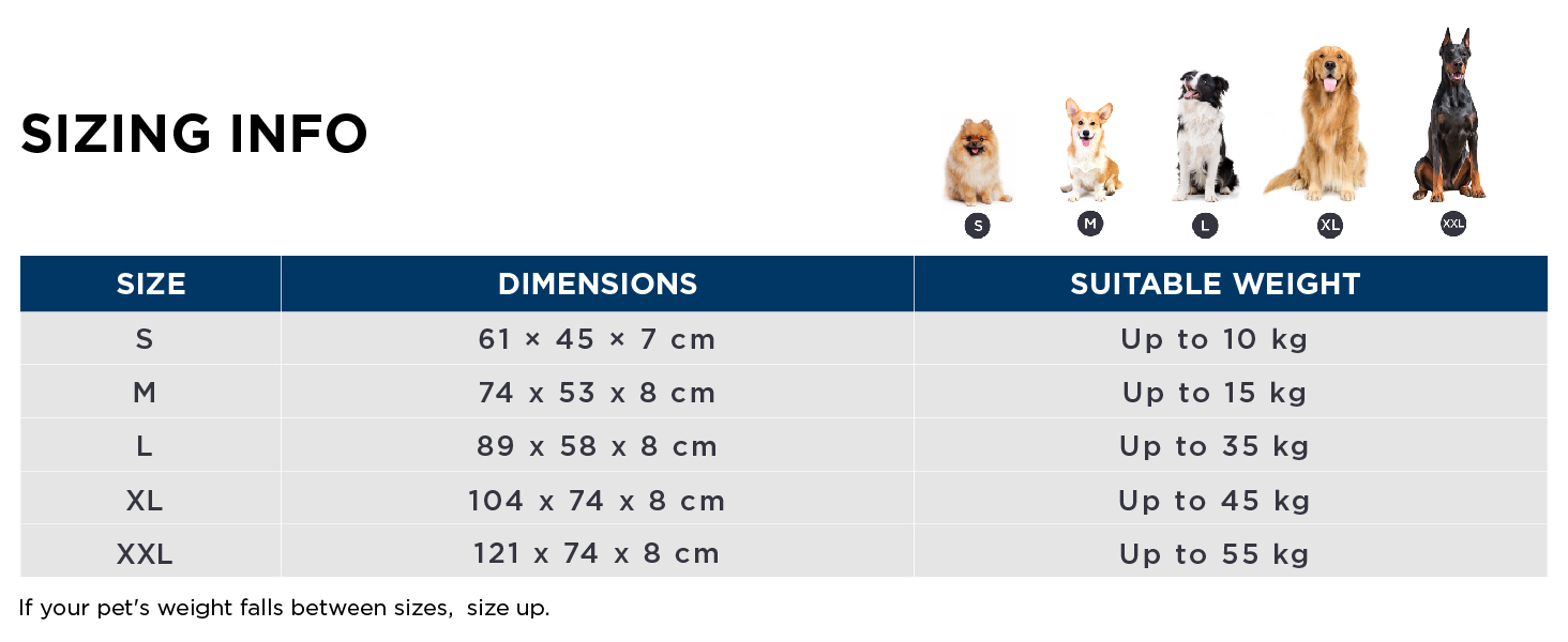 dog mattress bed size