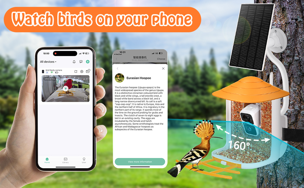 Yarmiene Bird Feeder with Camera