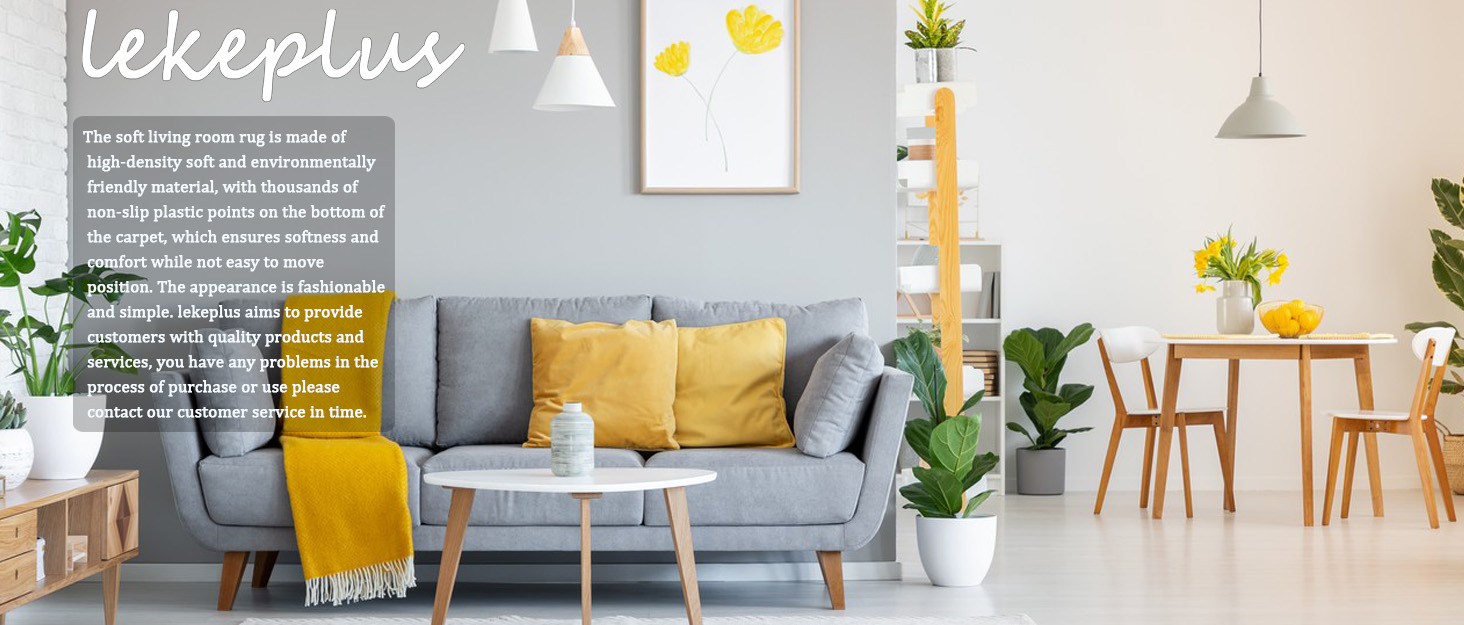rug for living room