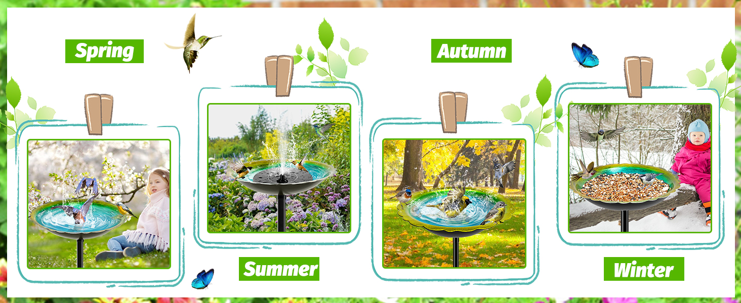 bird bath