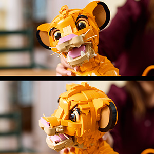 43247_DISNEY ANIMATION