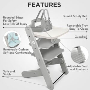 Harness and Cushion