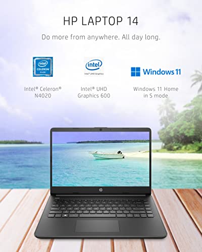 Intel Celeron N4020