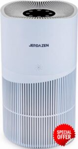 Air Purifiers for Home Large Room