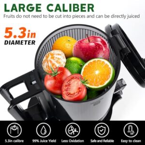 Slow Masticating Juicer Machines