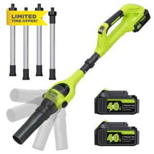 Leaf Blower Cordless