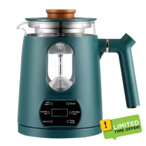 Electric Tea Kettle