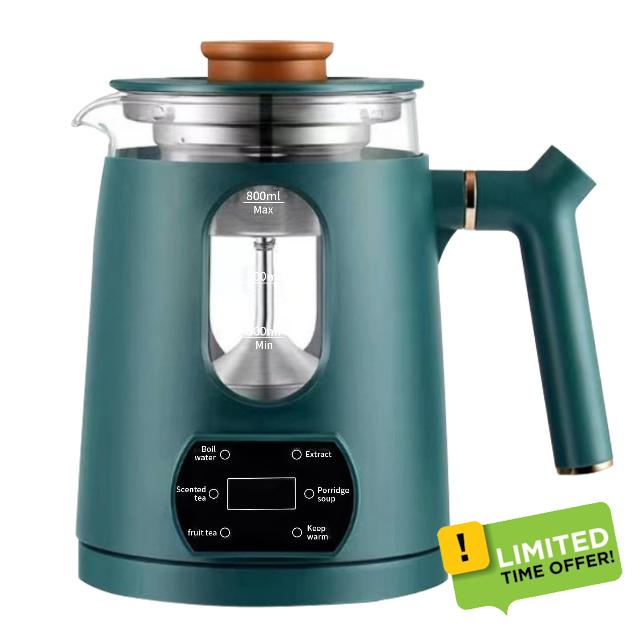 Electric Tea Kettle