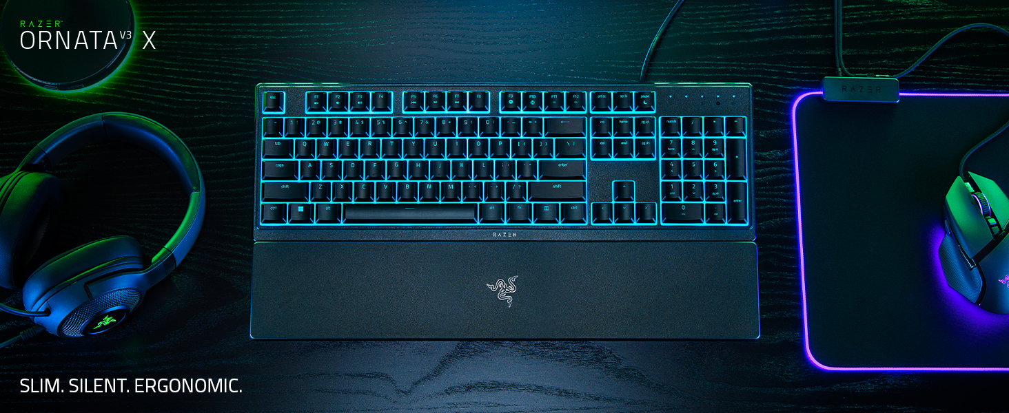 ornata v3 x