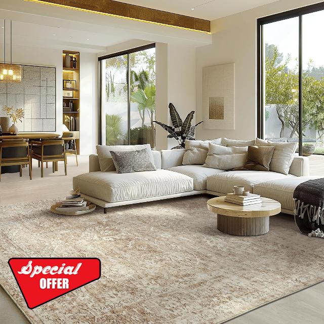 8x10 Area Rugs for Living Room