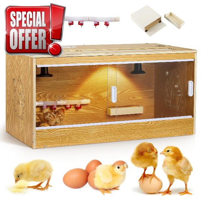 Brooder for Chicks