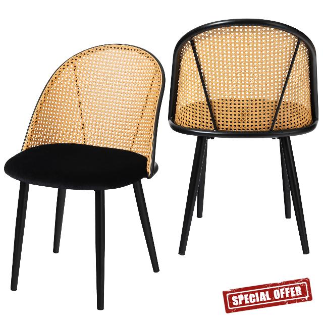 Mid Century Modern Dining Chairs Set of 2
