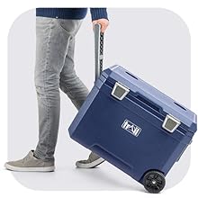 Hinged Lid with Cup Holders