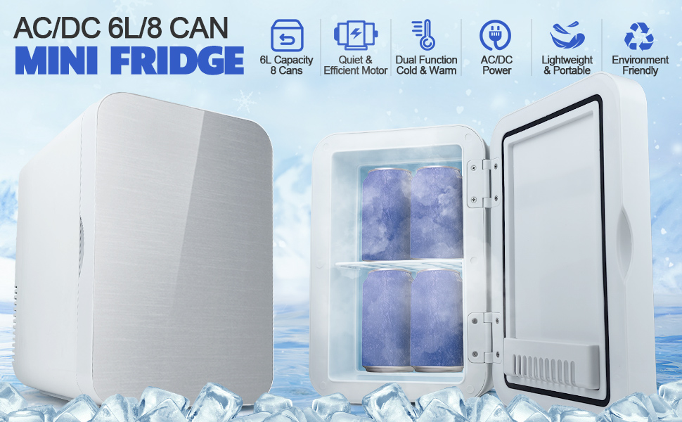 Mini Fridge