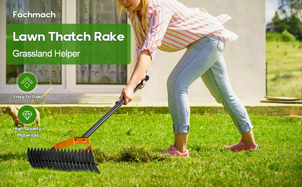 moss removal rake