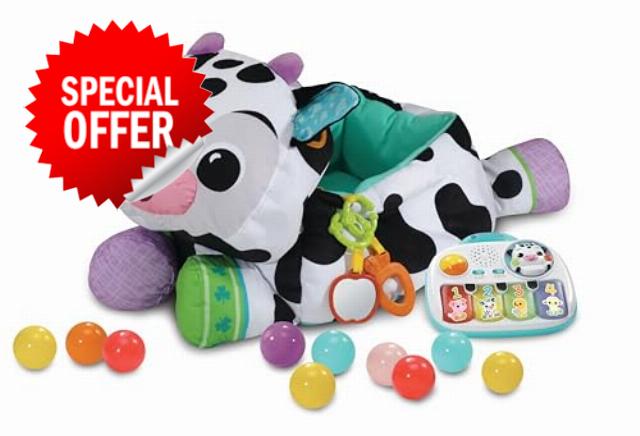 VTech Baby Moosical Activities Ball Pit