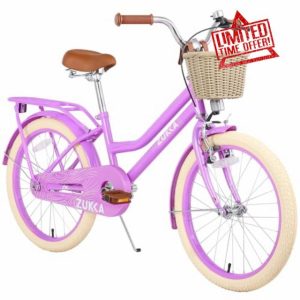 20 Inch Grils Bike with Basket