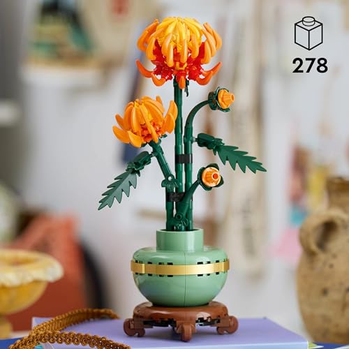 Creative Model Kit for Adults to Build