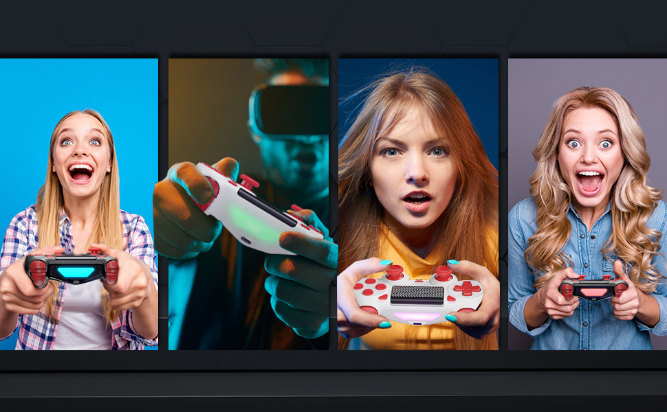 PS4 CONTROLLER