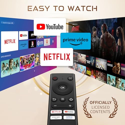 Netflix-Officially-Licensed