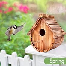 Hanging Bluebird House