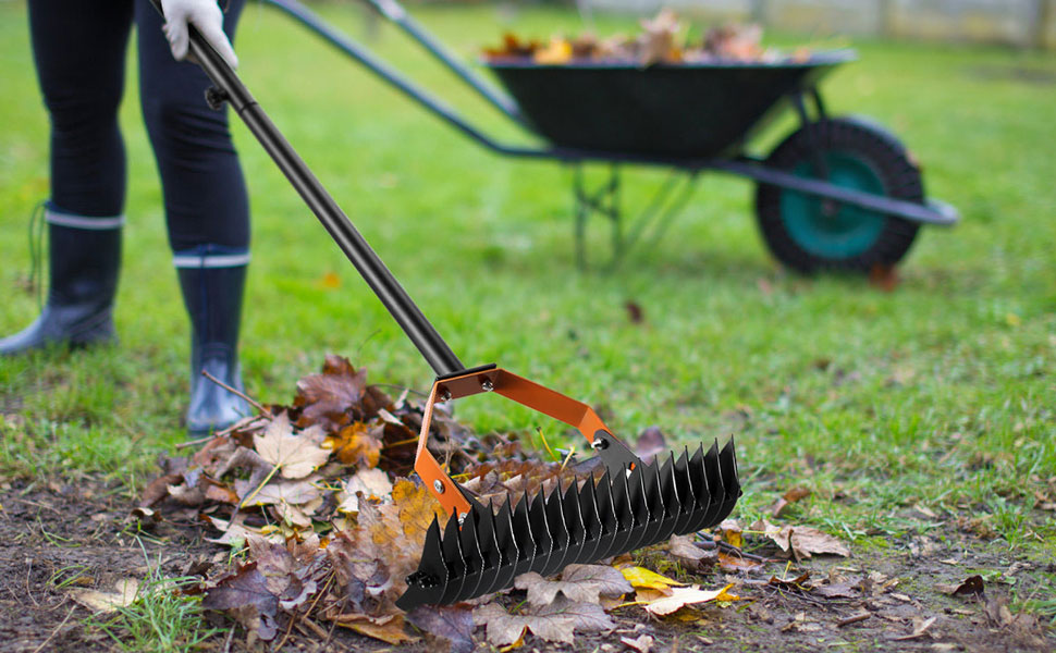 lawn scarifier rake