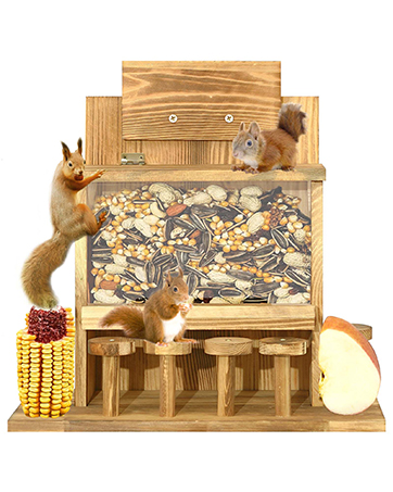 Squirrel Feeder