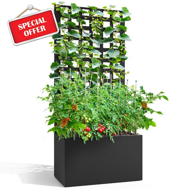 Metal Planter Box with Trellis